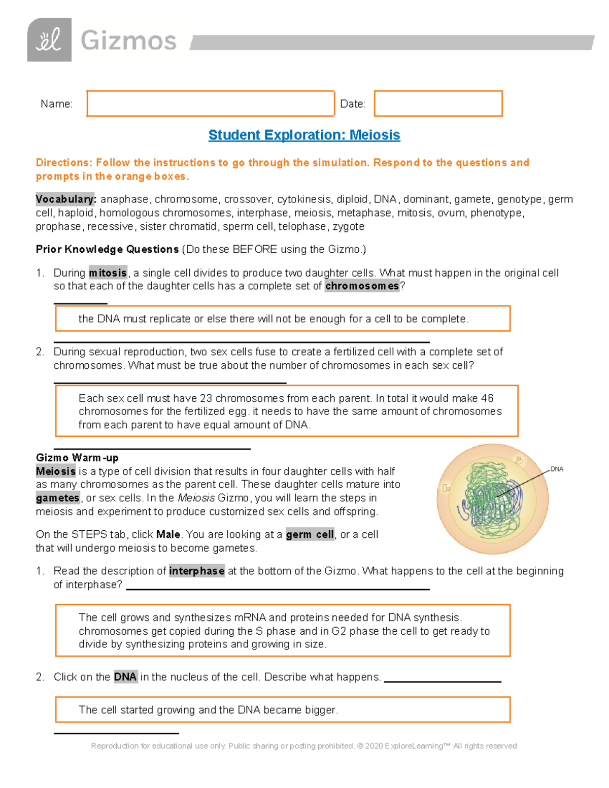 Meiosis SE 1 - assignment - John Bapst - Studocu