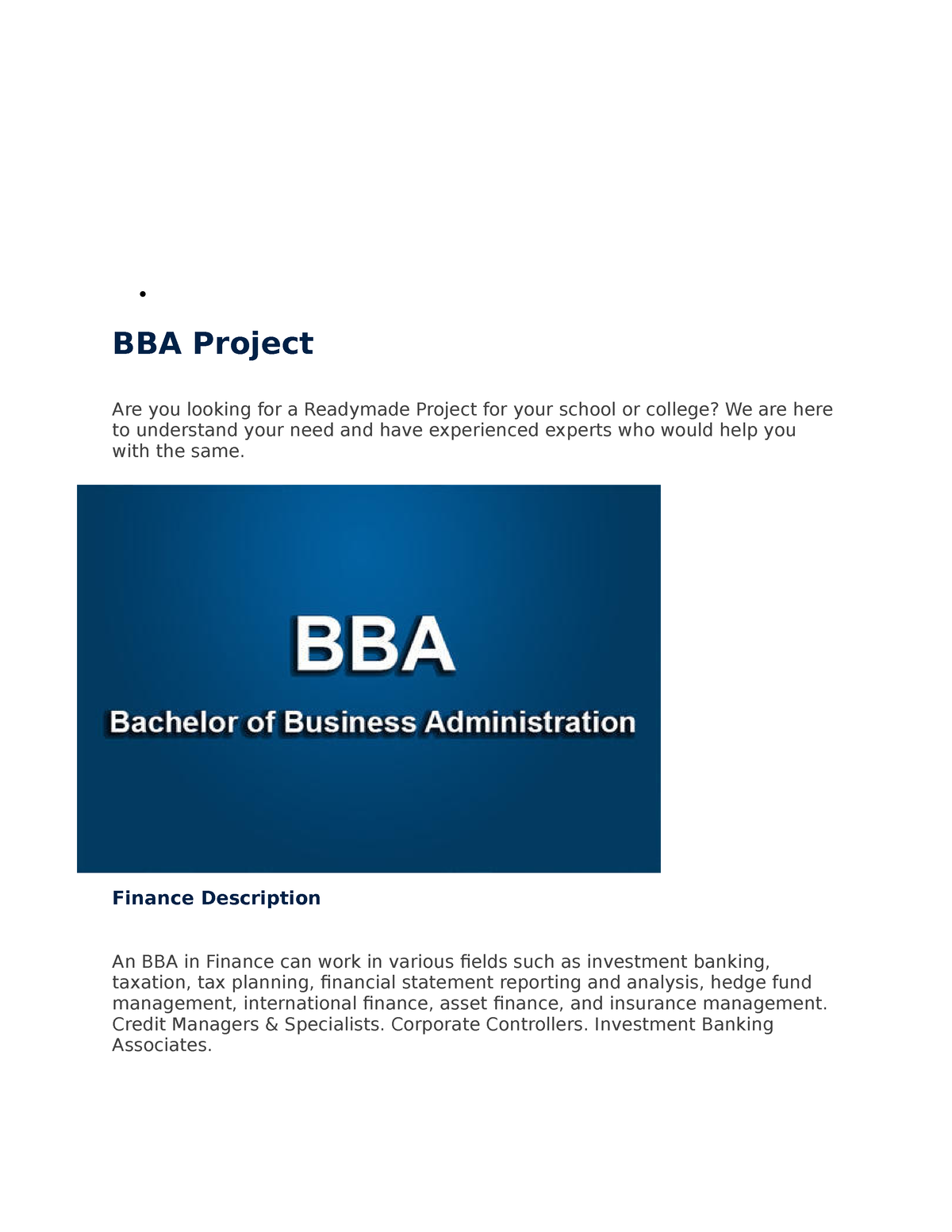 business plan project bba