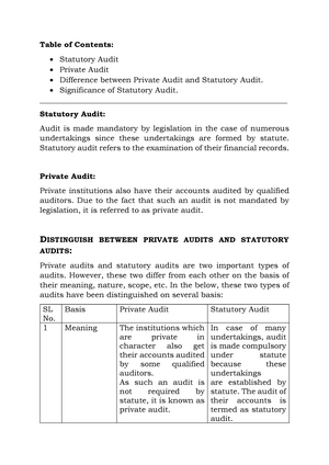 Statutory audit meaning