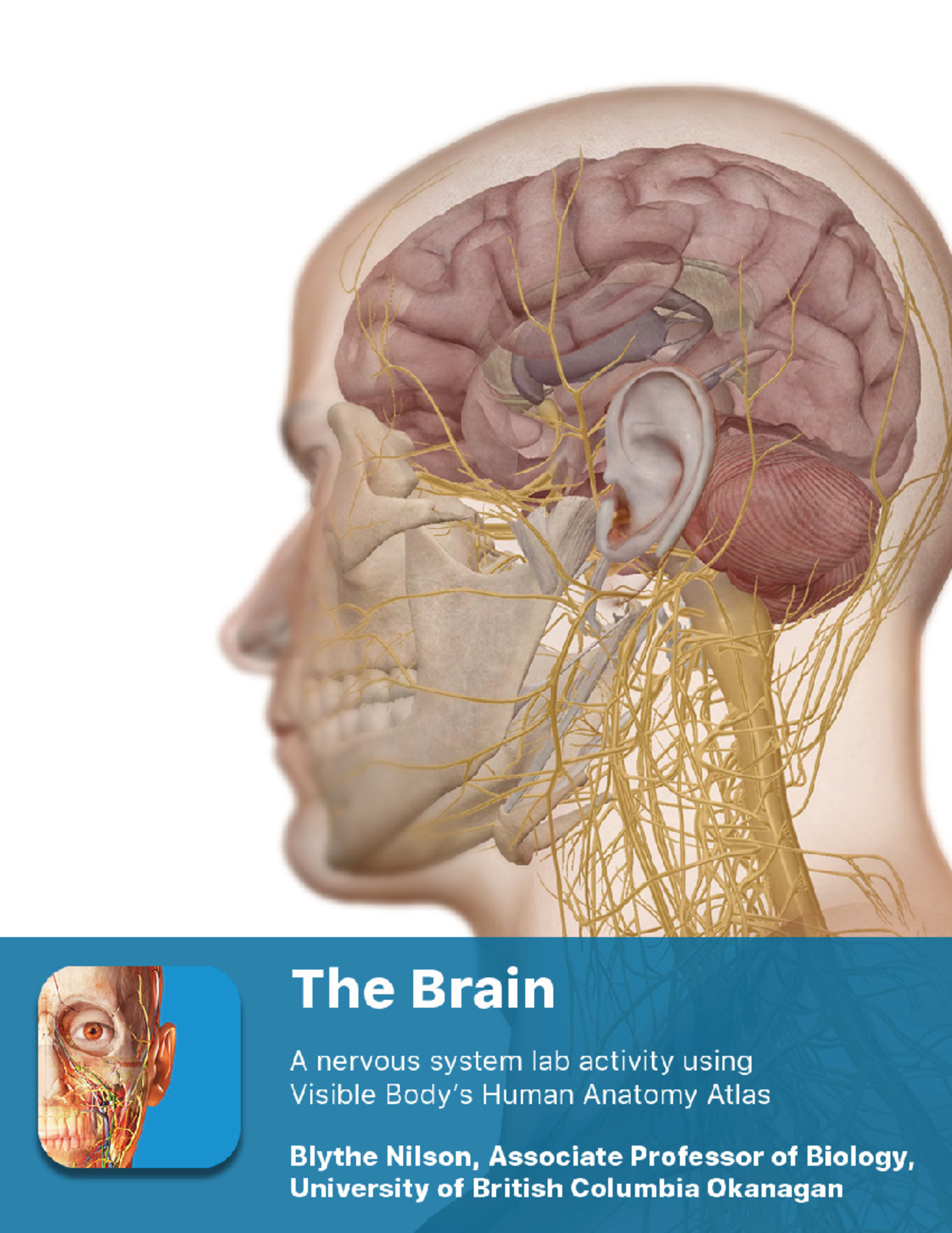 Lab manual brain atlas - PRE-LAB EXERCISES Open the Atlas app. From the ...
