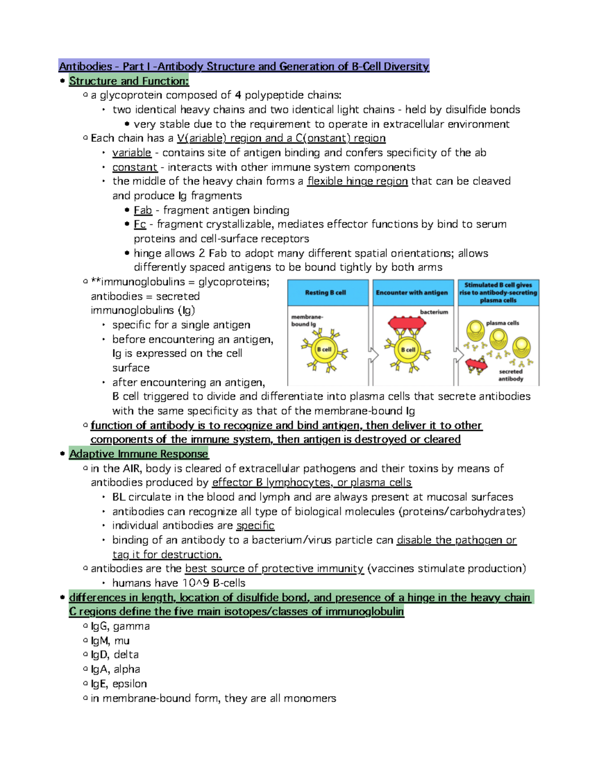 Immunology - Exam 2 - Antibodies - Part I -Antibody Structure and ...
