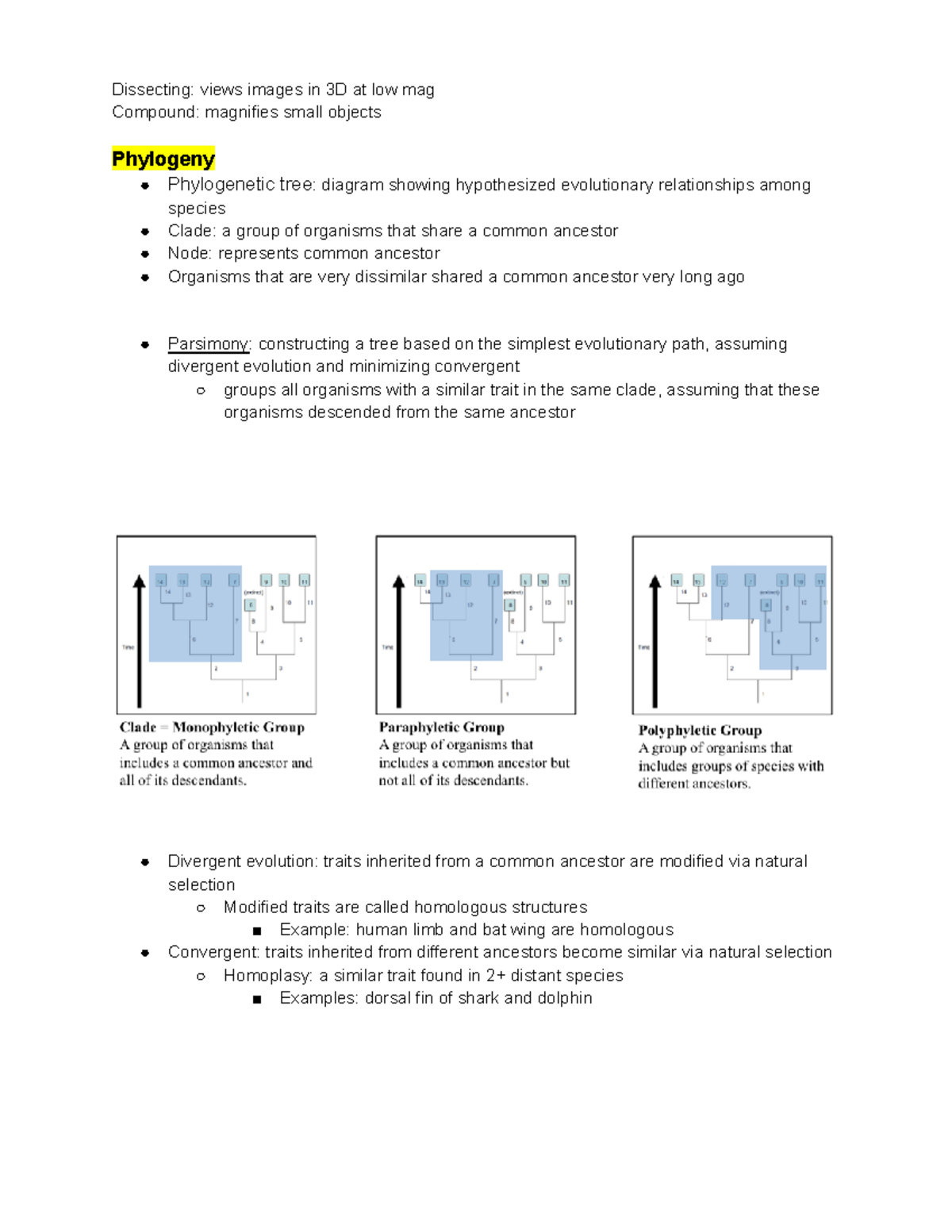 Bio 2 Lab Midterm1 Dissecting views images in 3D at low mag Compound magnifies small