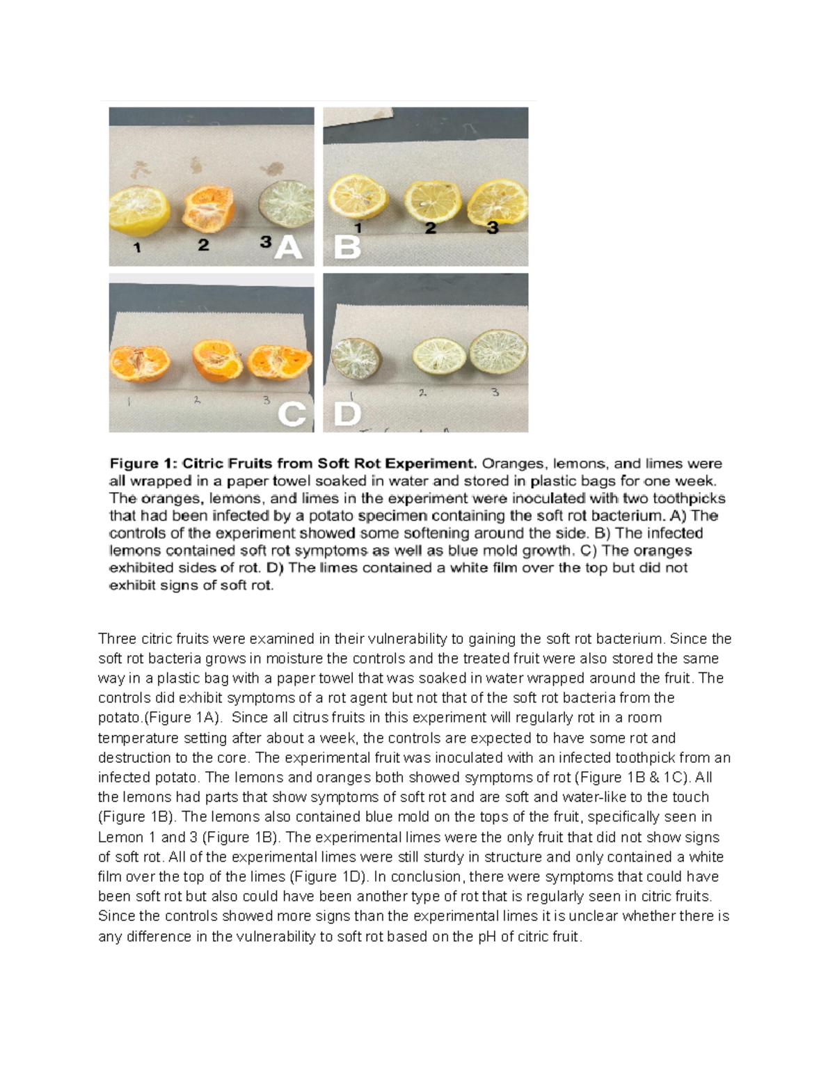 Soft rot experiment - Three citric fruits were examined in their ...