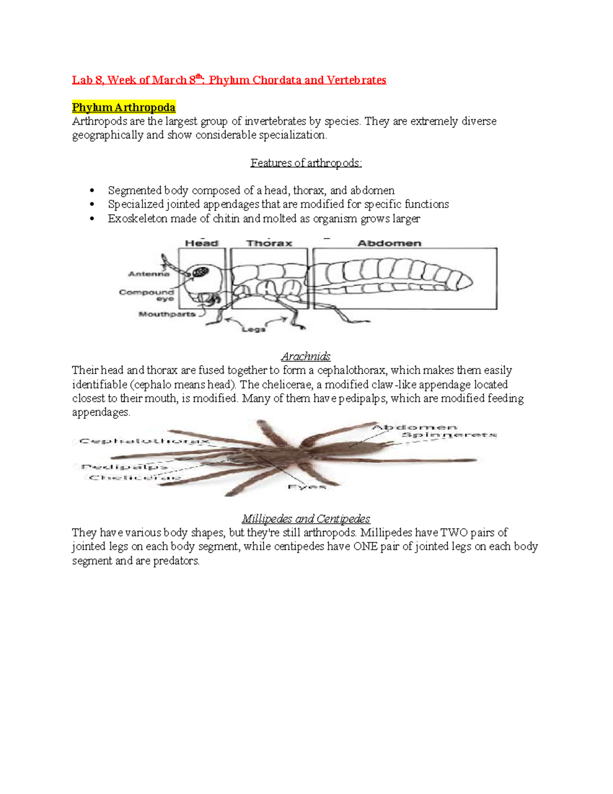 Biology Lab Study Guide Chapters 110 BIOL 2107 GSU Studocu