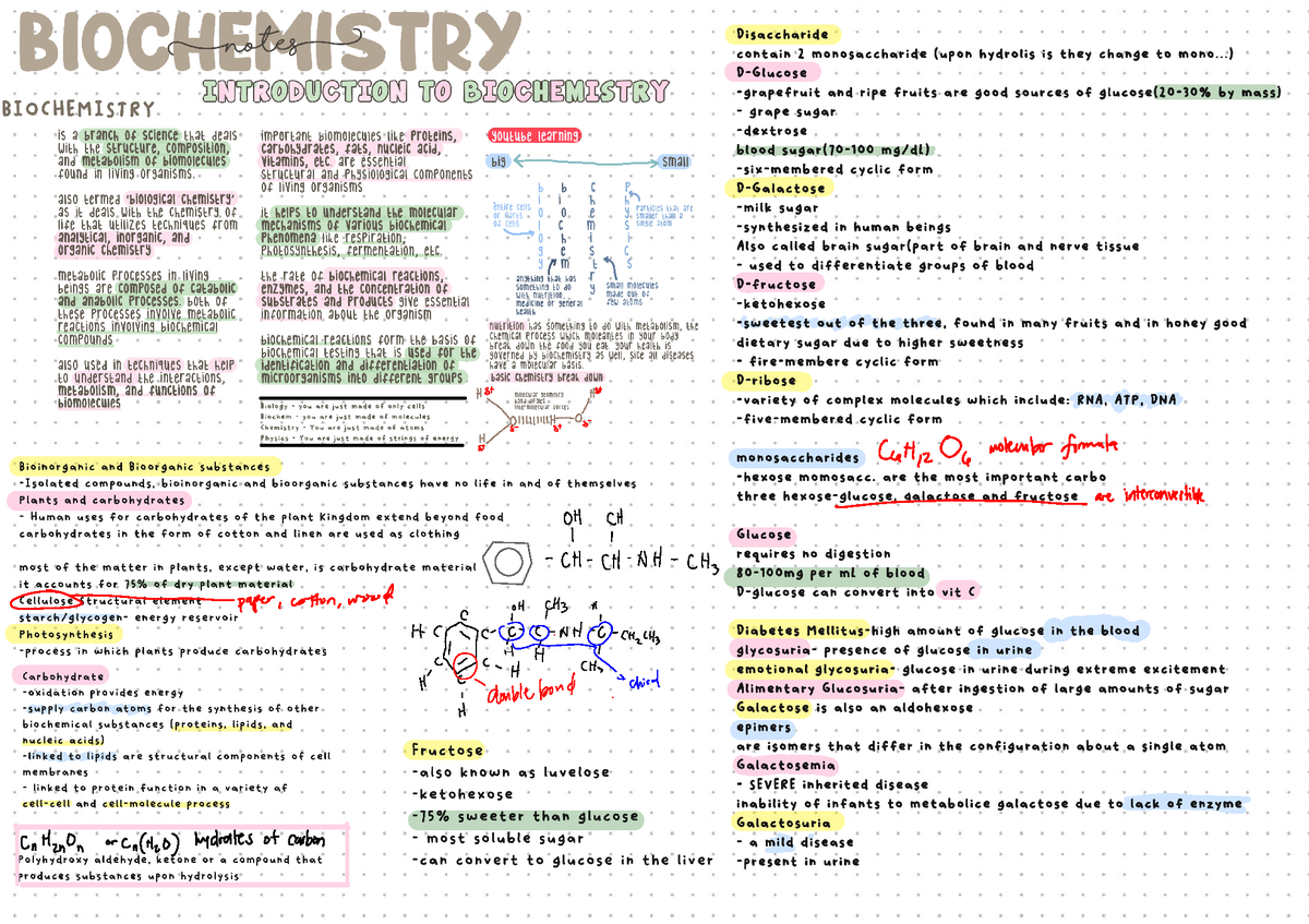 Carbohydrates - BS Psychology - Studocu