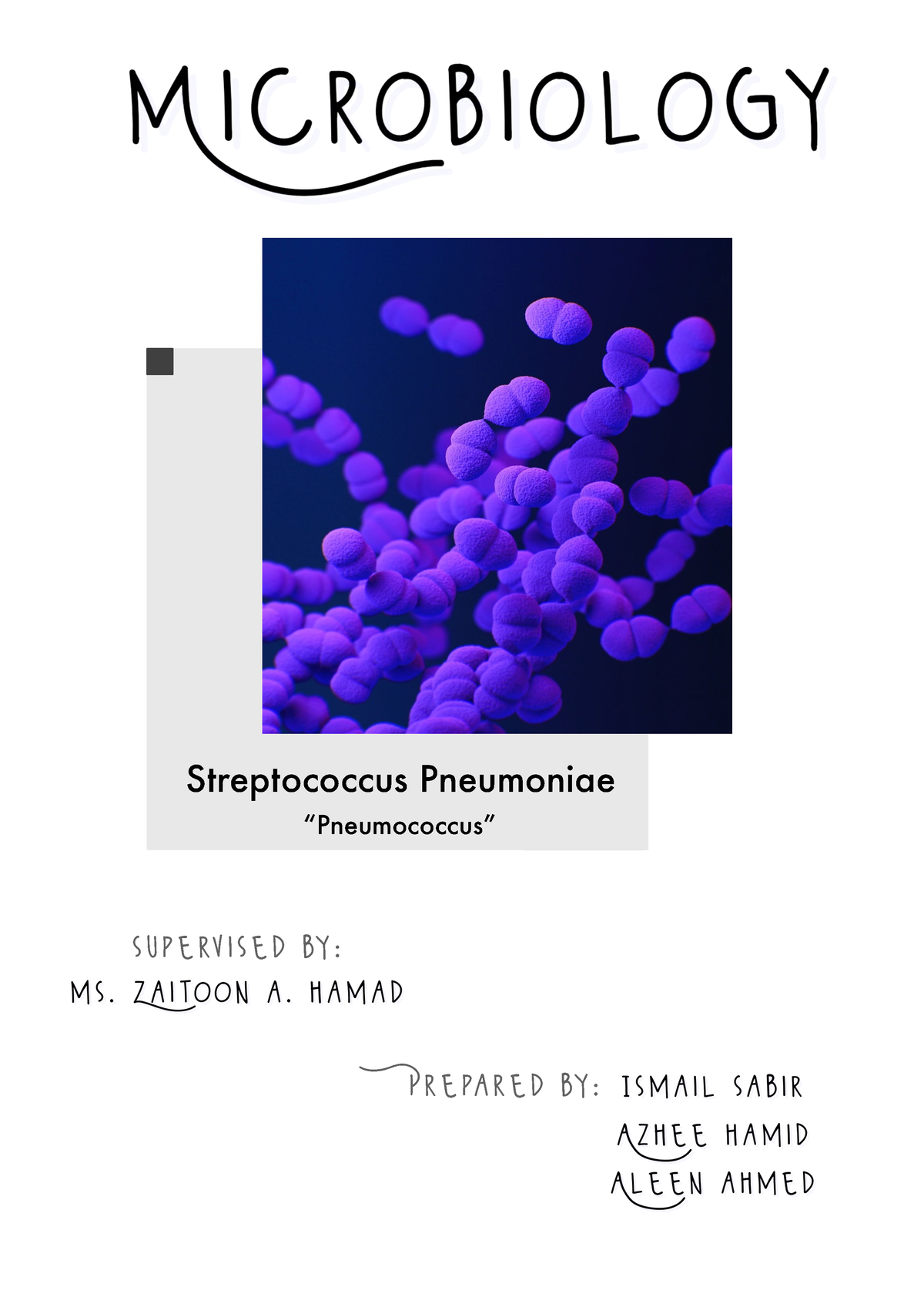 Microbiology Report § - very good - Prepared by: Streptococcus ...