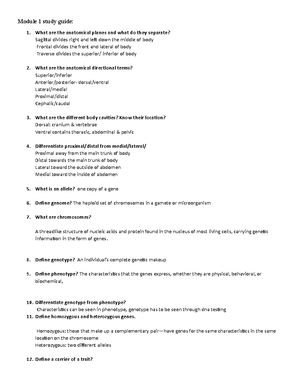 Module 8 LAB Study guide - Module 8 LAB Study guide What makes up the ...