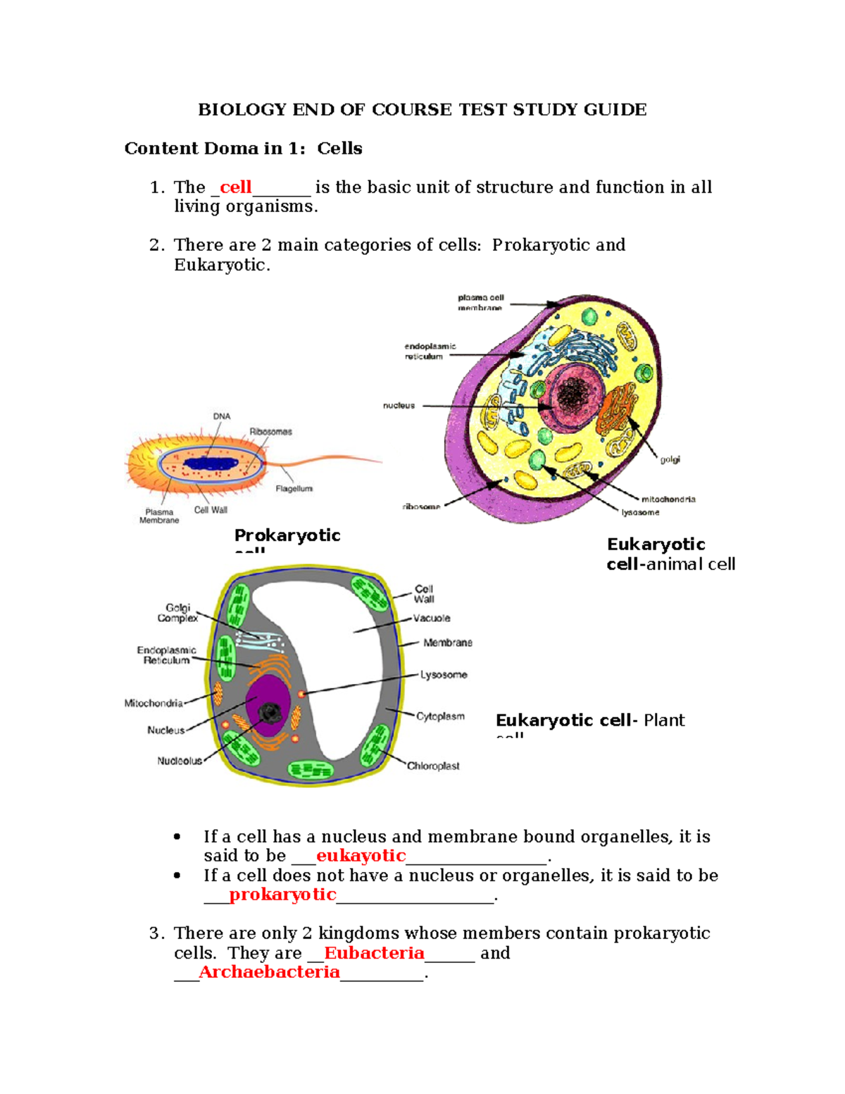 Biology EOCT- Study Guide - BIOLOGY END OF COURSE TEST STUDY GUIDE ...