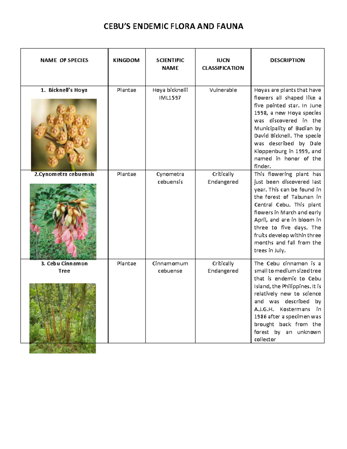 endemic-species-what-is-endemic-species-definition-and-examples