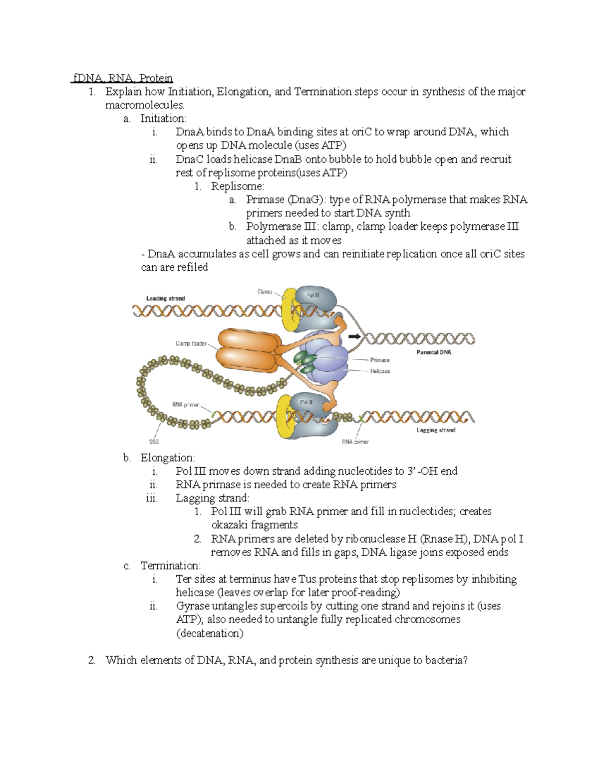 Mic102 test 2 study guide Final fDNA, RNA, Protein 1. Explain how Initiation, Elongation, and