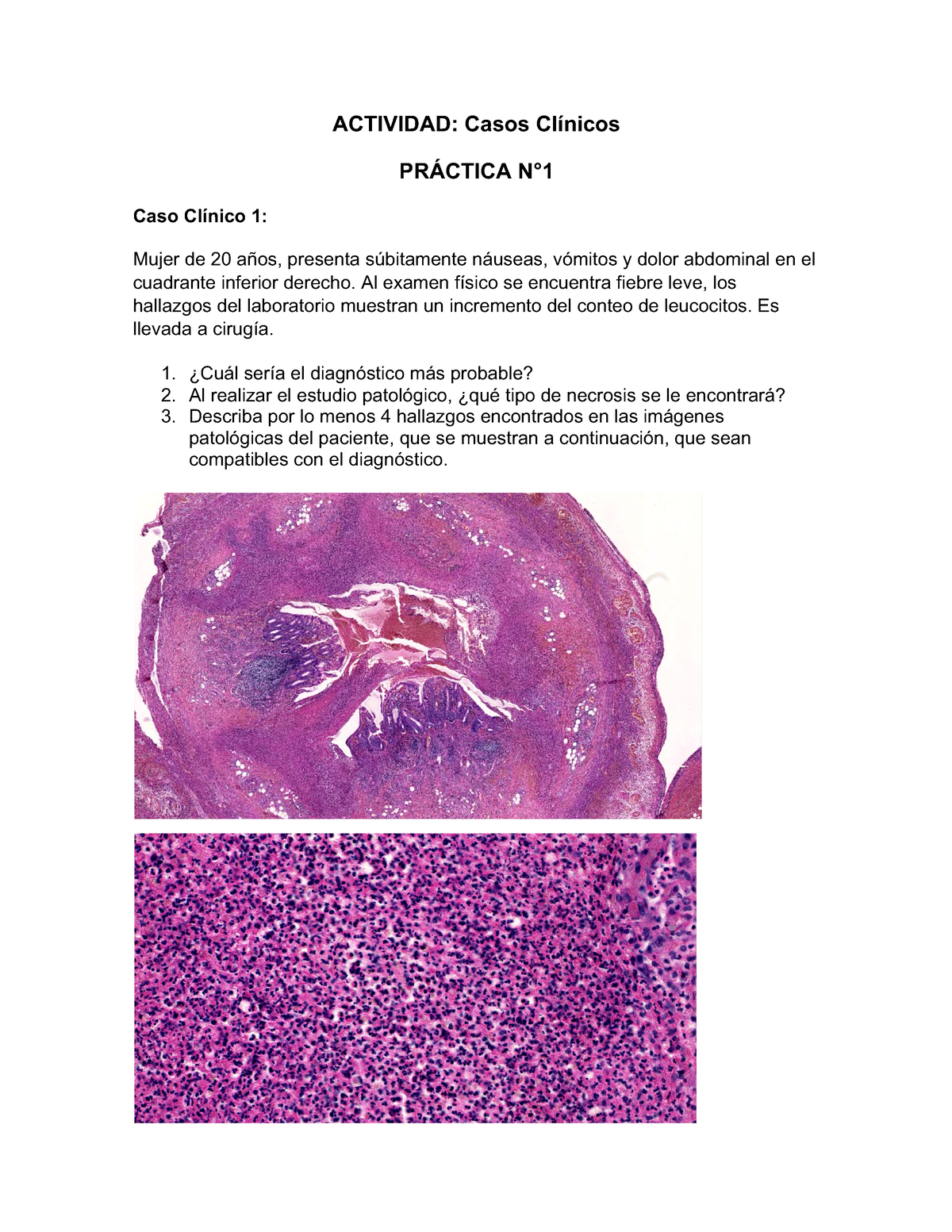 Casos Clínicos Práctica 1 - ACTIVIDAD: Casos Clínicos PRÁCTICA N° Caso ...