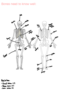 1. Introduction To Basic Human Anatomy - Glossary Of Terms For This 