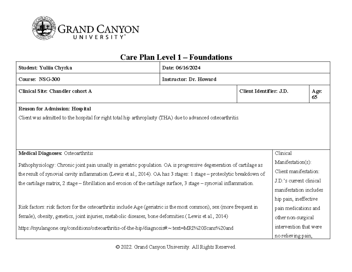 Care plan for patients - Care Plan Level 1 – Foundations Student ...