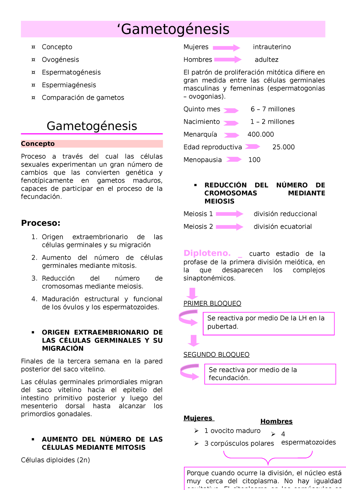 Gametogénesis Embriología Teoría Clase 1 Apuntes - 'Gametogénesis ¤  Concepto ¤ Ovogénesis ¤ - Studocu