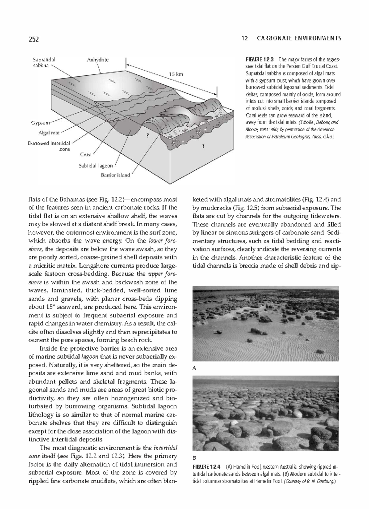 Sedimentary Geology ( PDFDrive )-30 - ####### 252 Supratidal sabkha ...