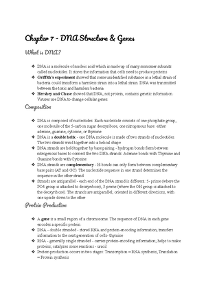 Chapter 8 - DNA Replication, Binary Fission, and Mitosis - Chapte 8 ...