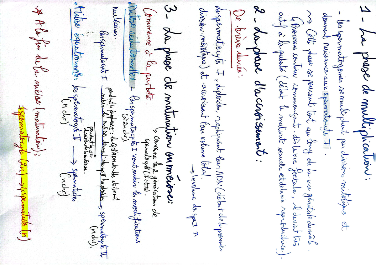 Embryologie s1 - Histologieembryologie I - Studocu