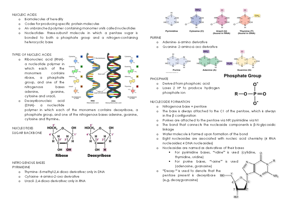 6. Nucleic Acids NUCLEIC ACIDS o Biomolecules of heredity o Codes for
