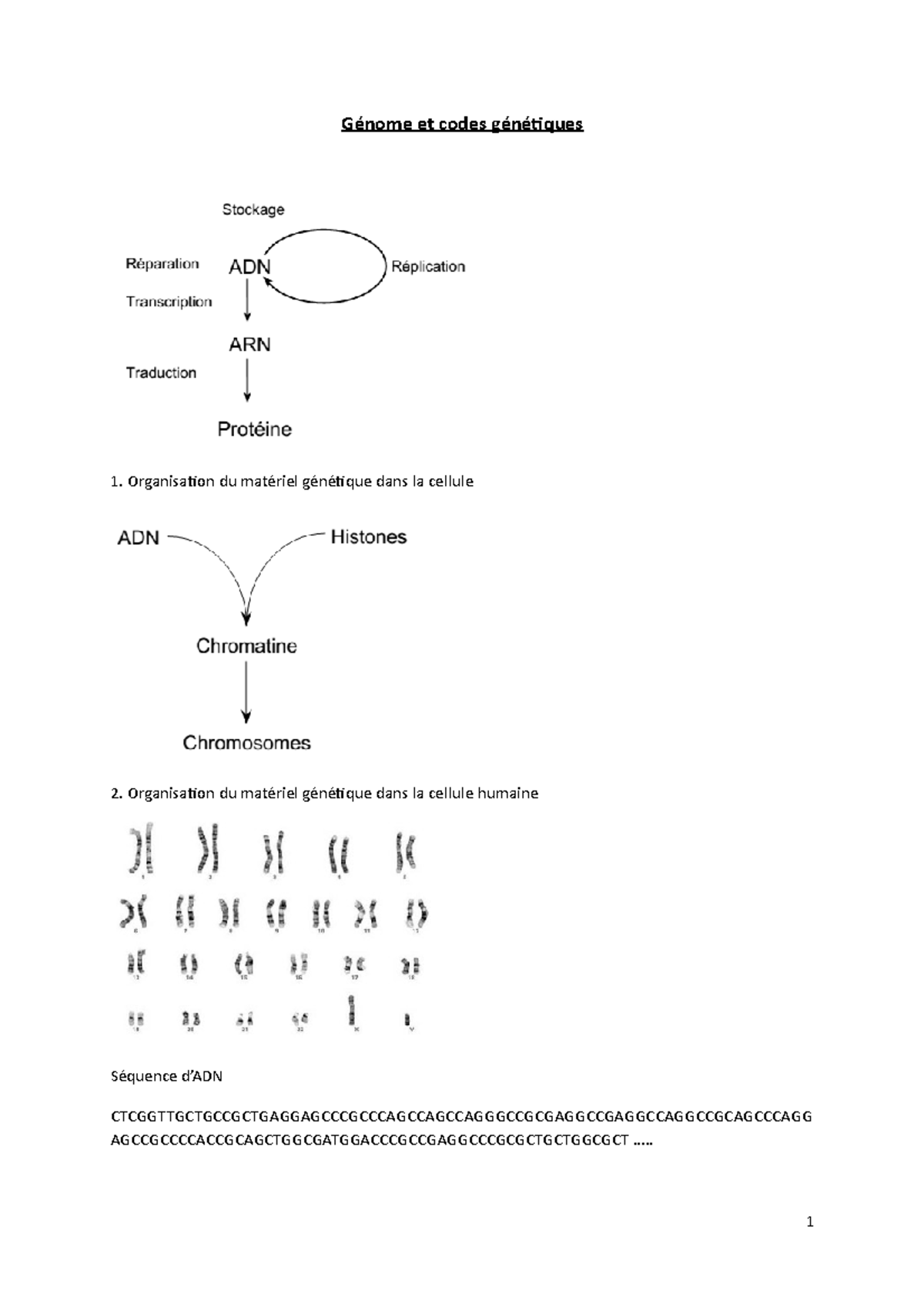 Génome et codes génétiques - Génome et codes génétiques Organisation du ...