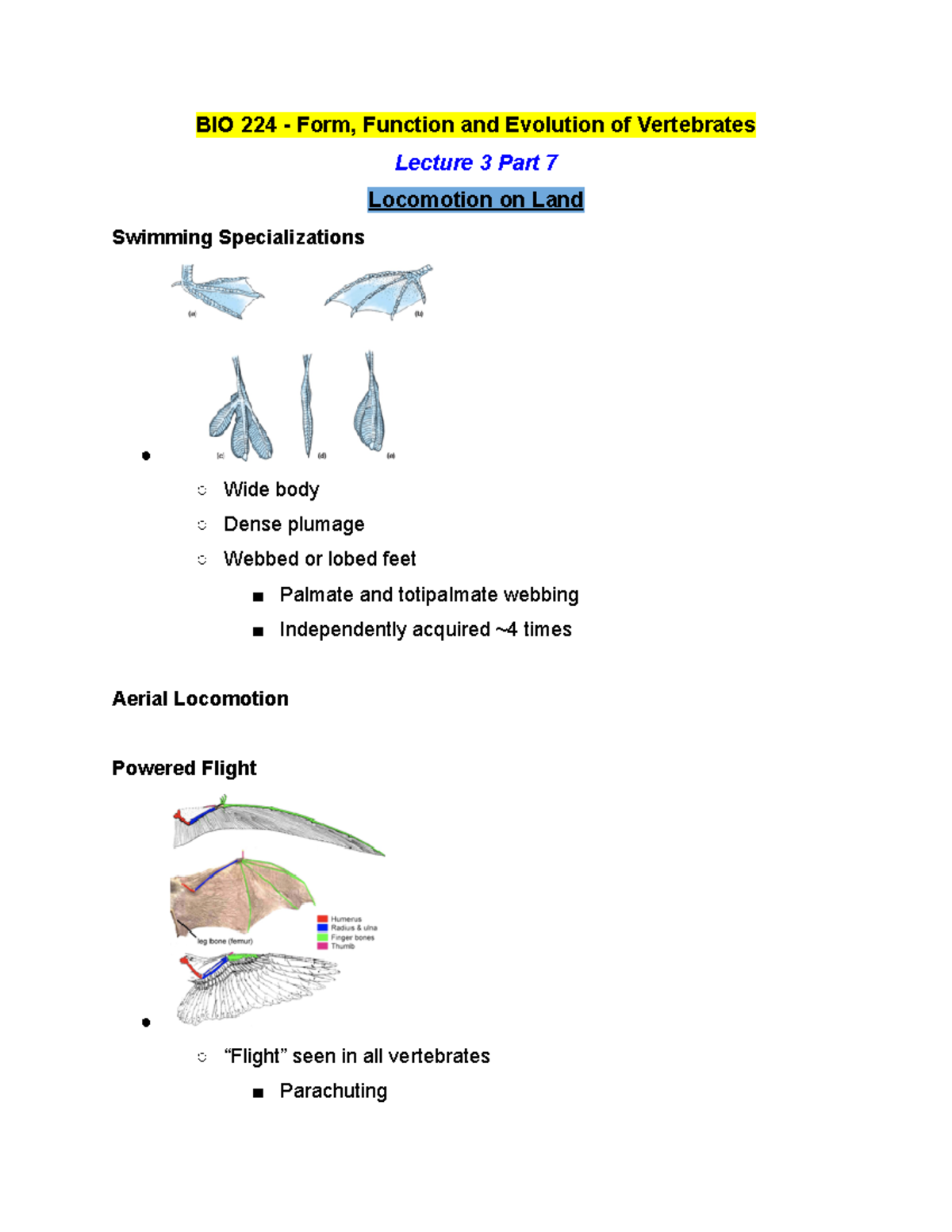 BIO 224 Lecture 3 Part 7 - Winter 2019 - BIO 224 - Form, Function and ...