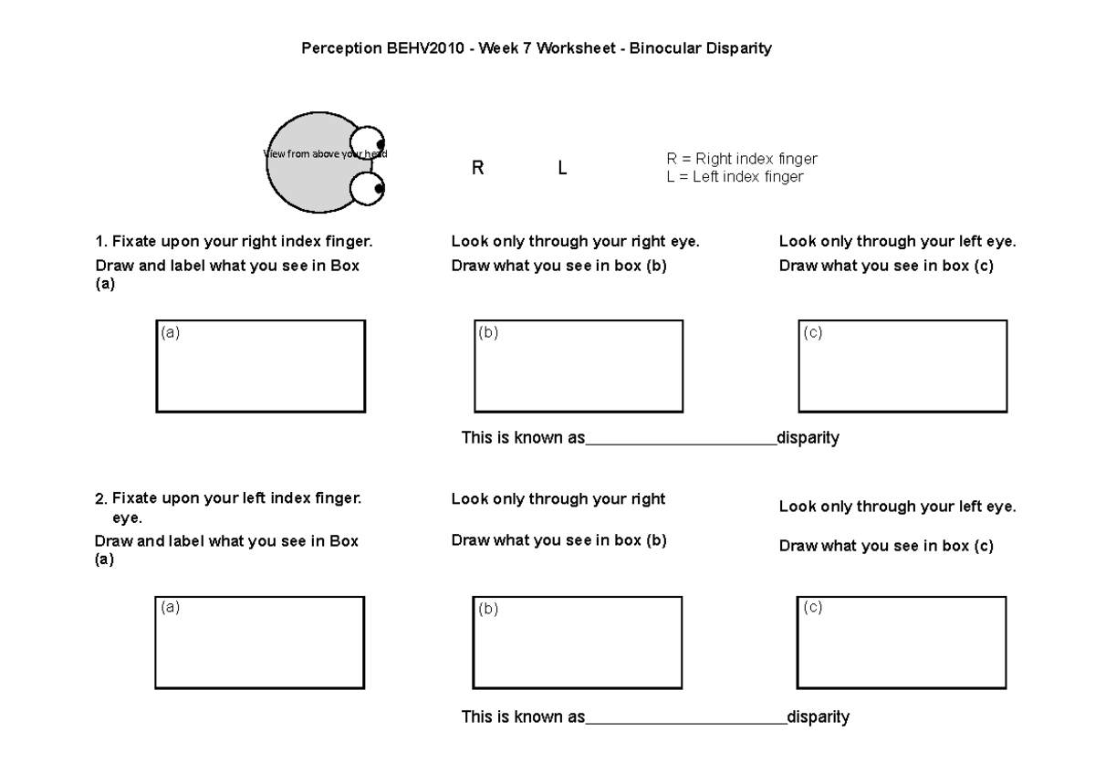 Perception 2022 - Worksheet week 7 - Stereopsis - View from above your ...