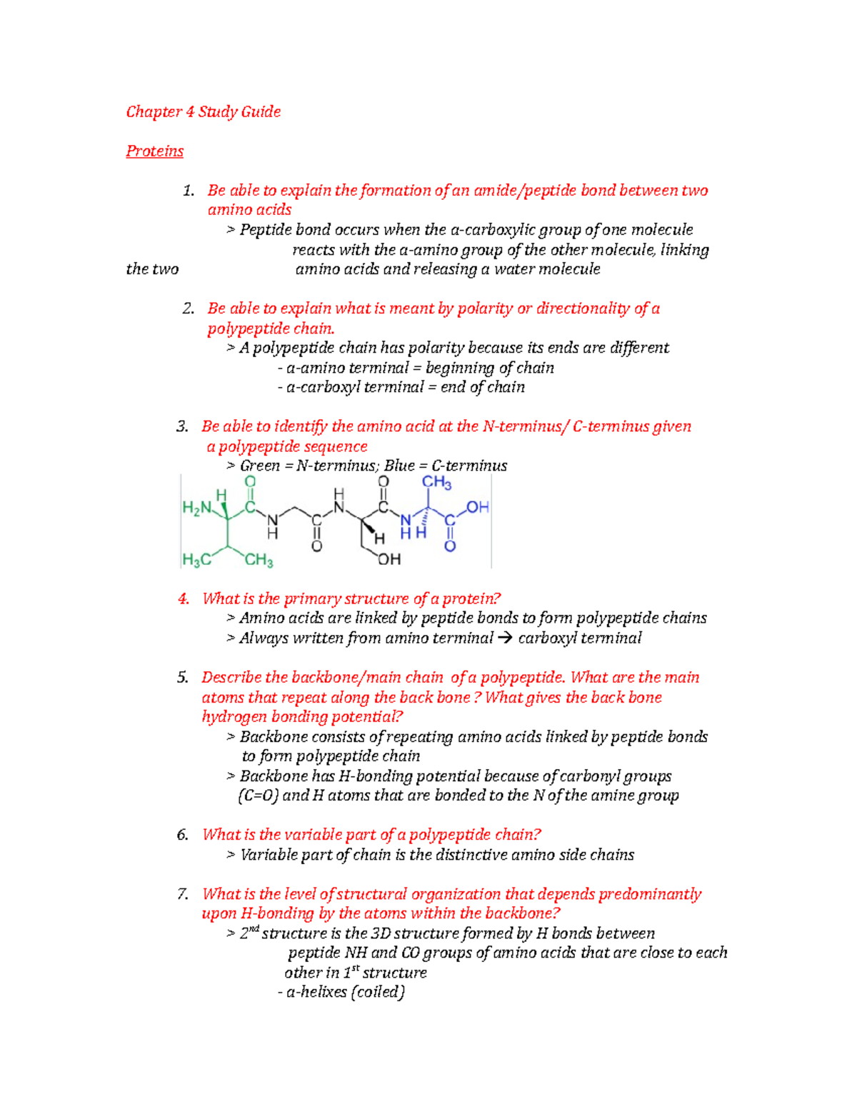 Chapter 4 complete study guide - Chapter 4 Study Guide Proteins 1. Be ...