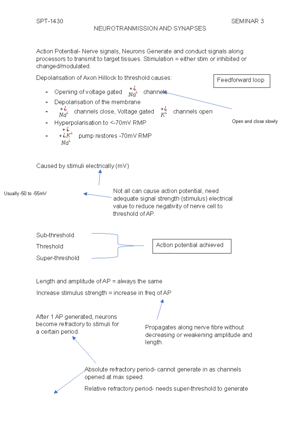 Action Potential - Lecture notes 3 - NEUROTRANMISSION AND SYNAPSES ...