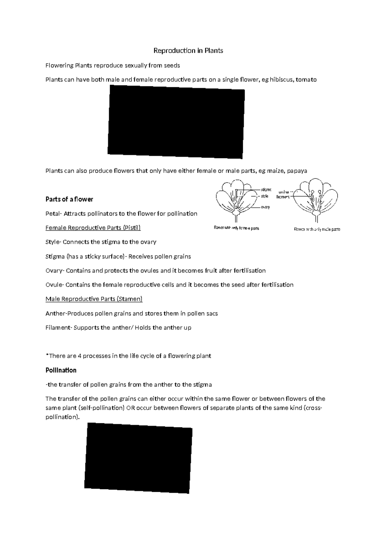 Reproduction in Plants Reproduction in Plants Flowering Plants