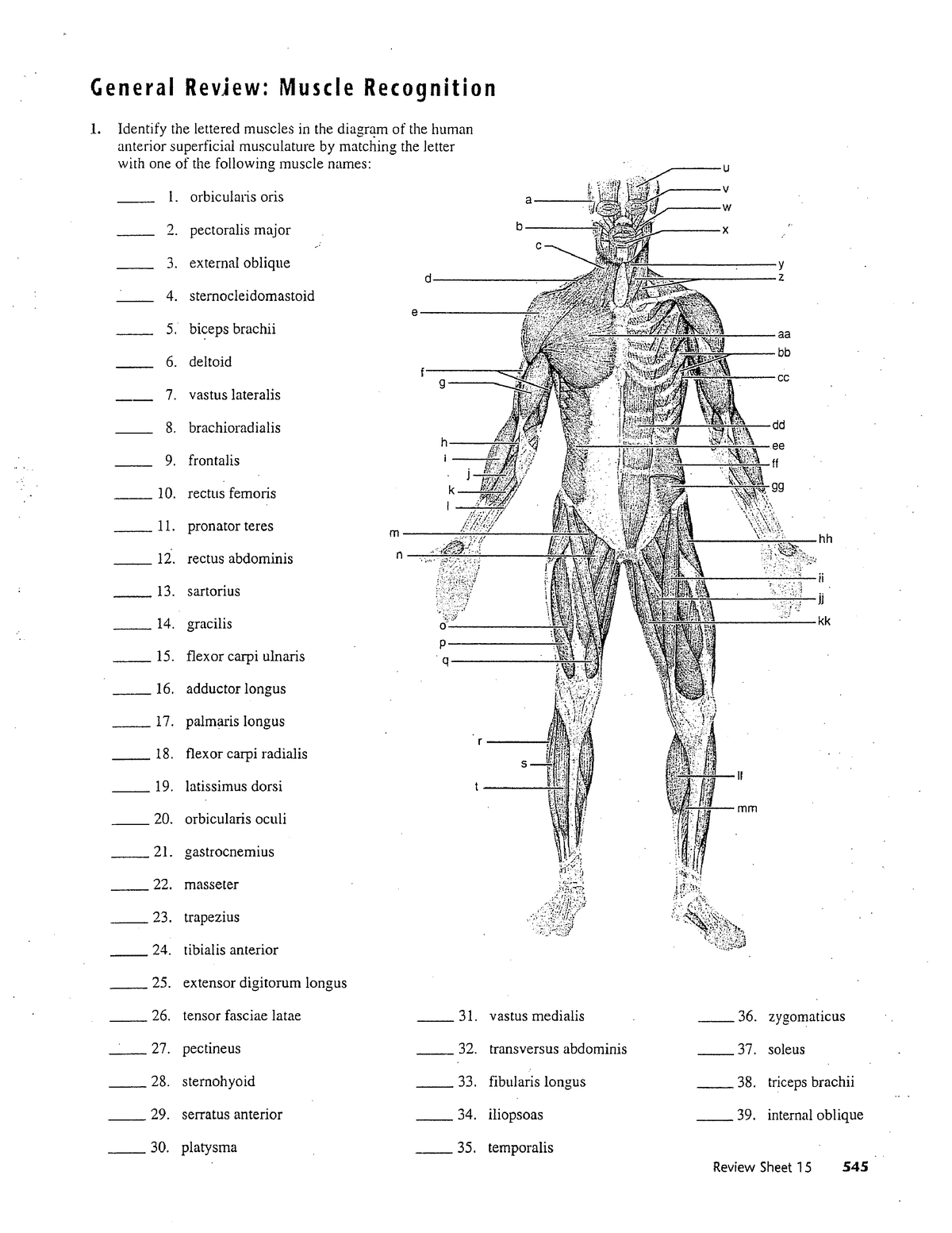 Muscles - Weight room lab that covers origin/insertion, agonist ...