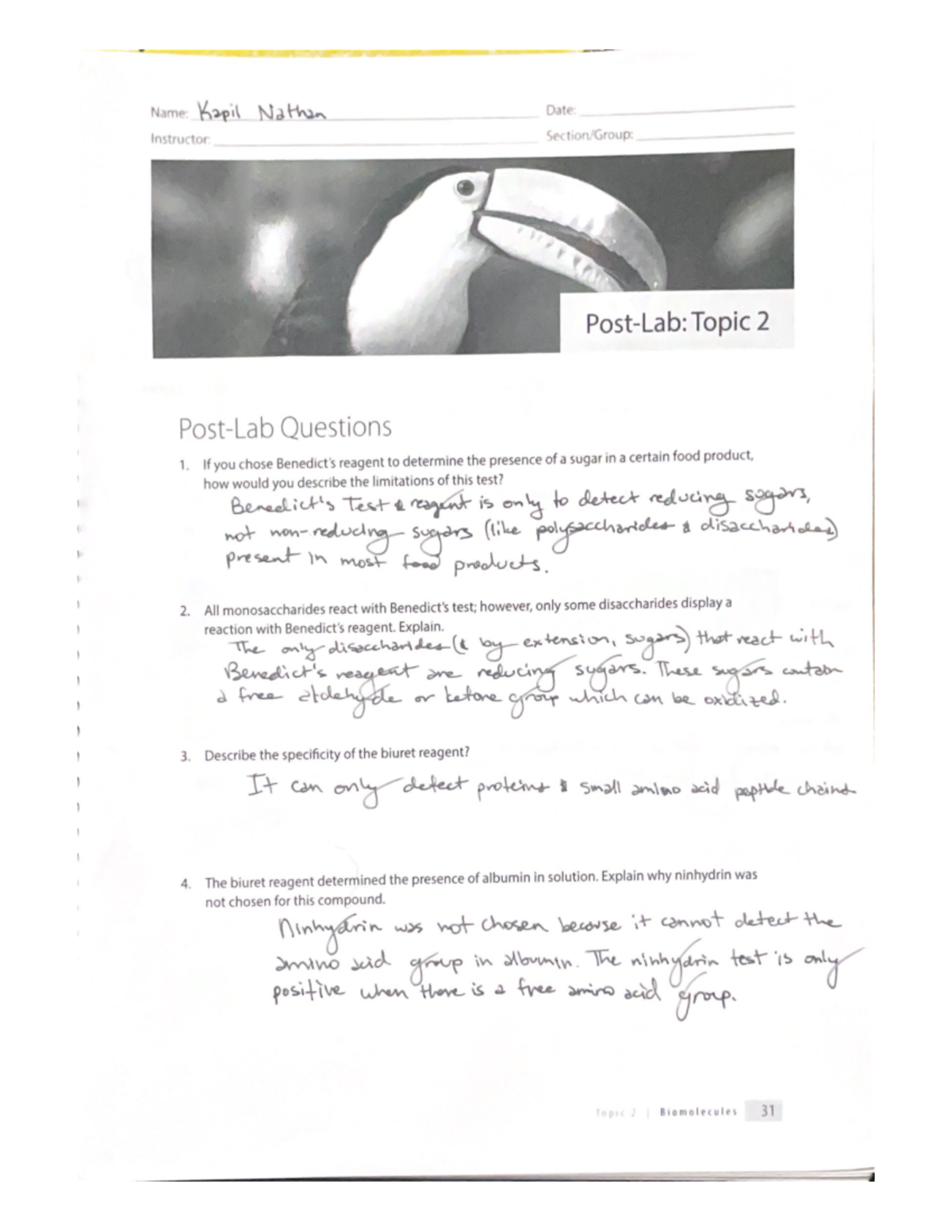 Biomolecules PostLab BSC 118 Studocu