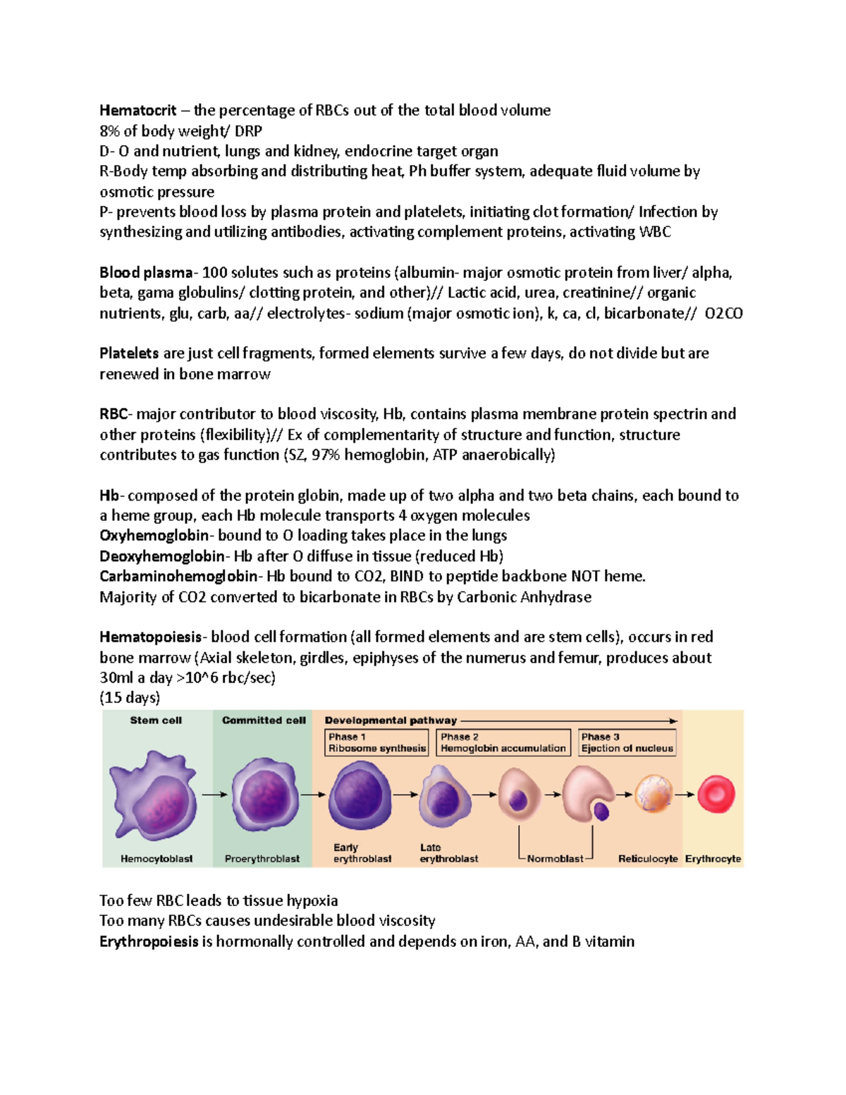 Blood notes - Copeland and Staines - Hematocrit – the percentage of ...