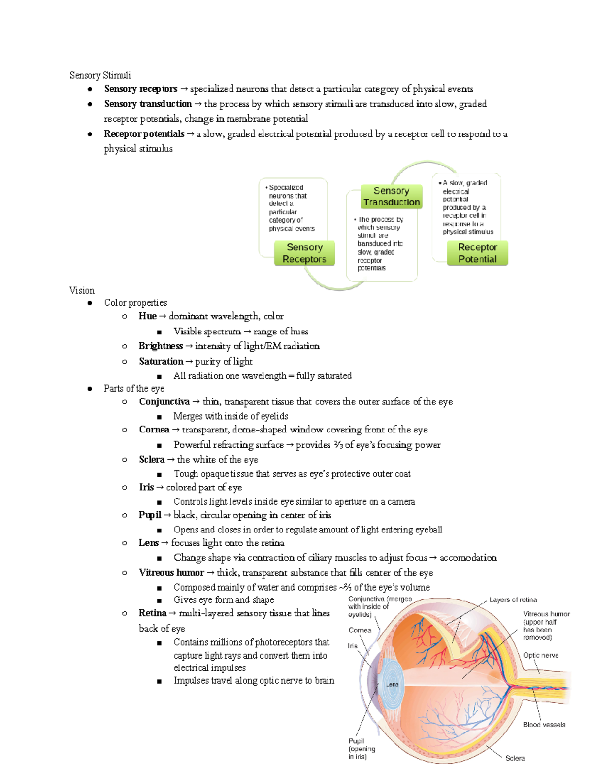 PSYC314 Study Guide Exam 2 - Sensory Stimuli Sensory receptors → ...