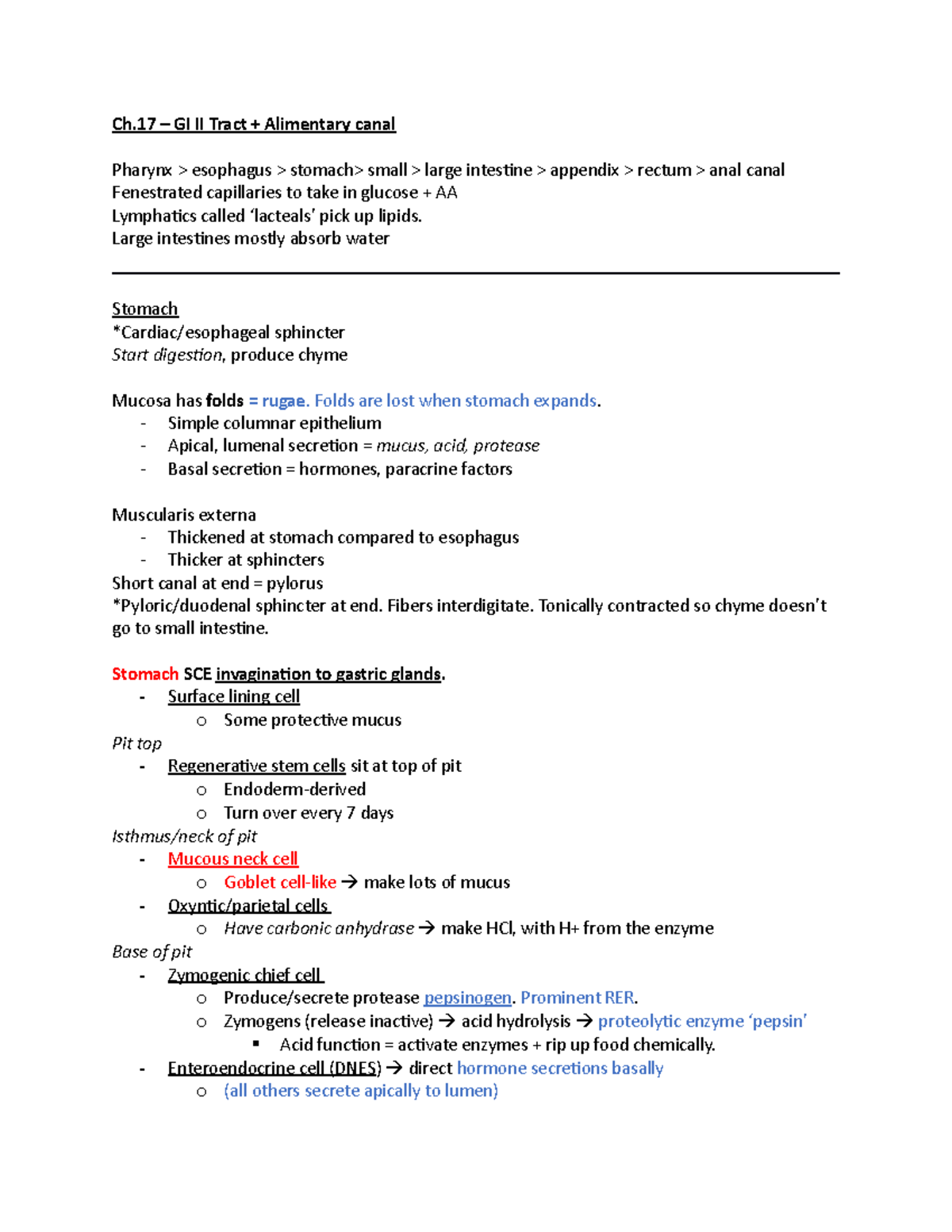 Ch17 Notes - GI: Alimentary Canal - Ch GI II Tract Alimentary canal ...