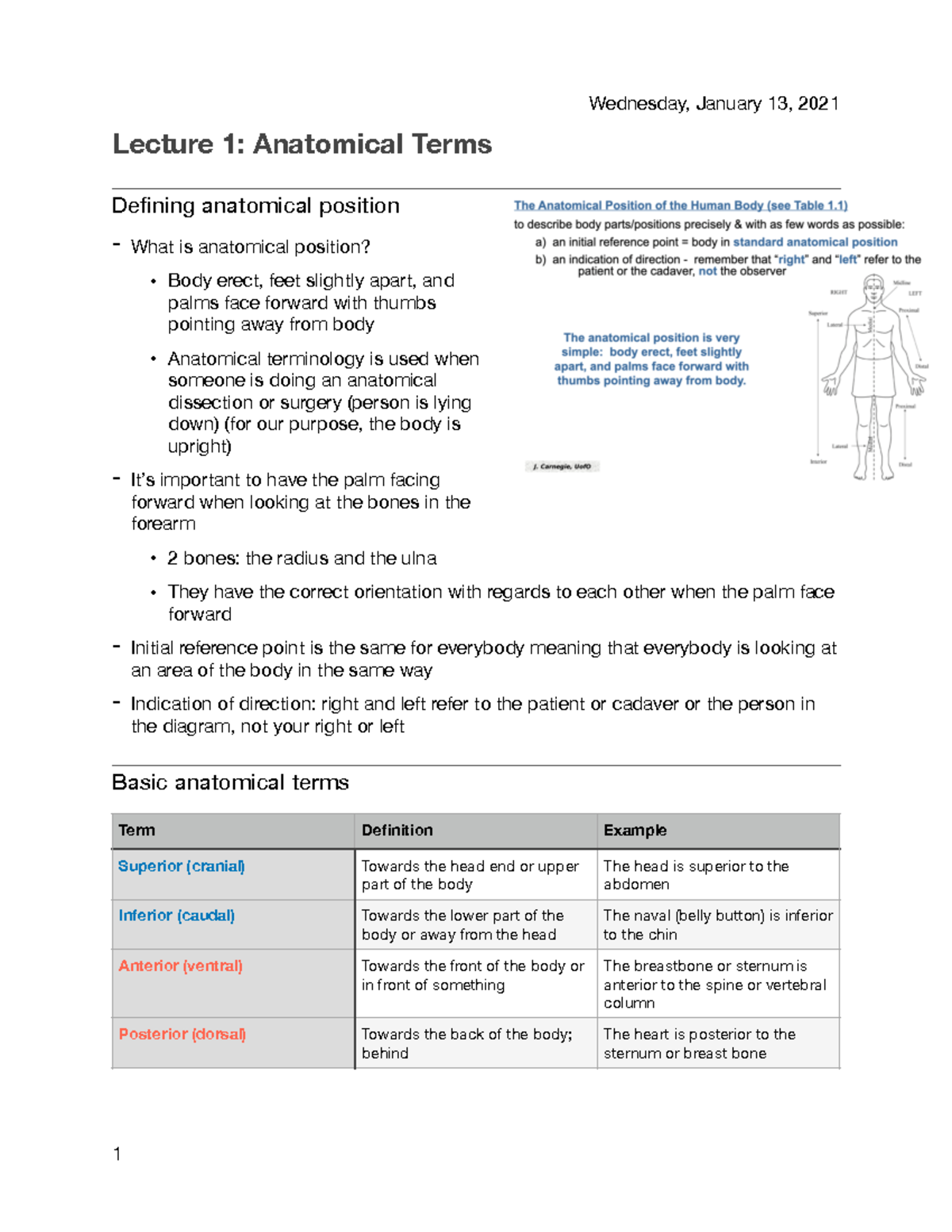 ANP1106 - notes are with Carnegie which include skin and bone tissue ...