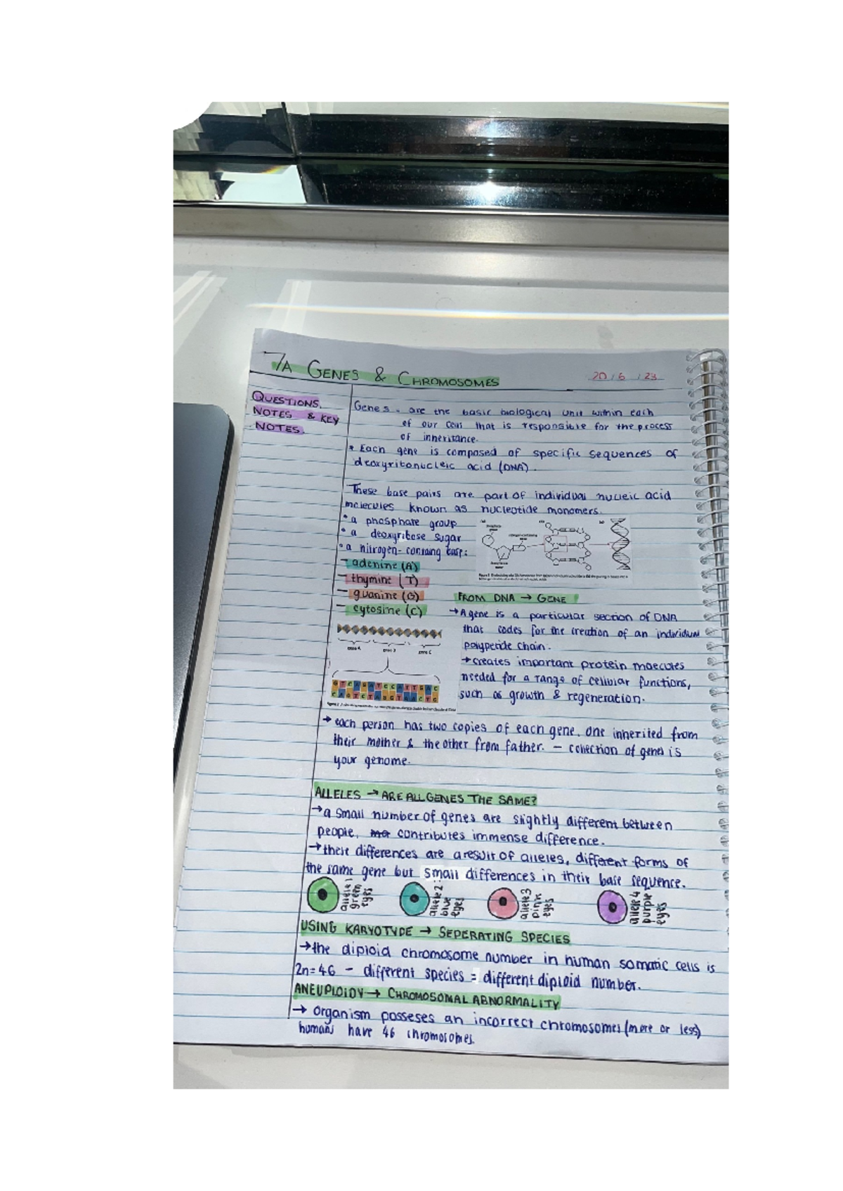 Biology notes 7a and b - bio - Studocu