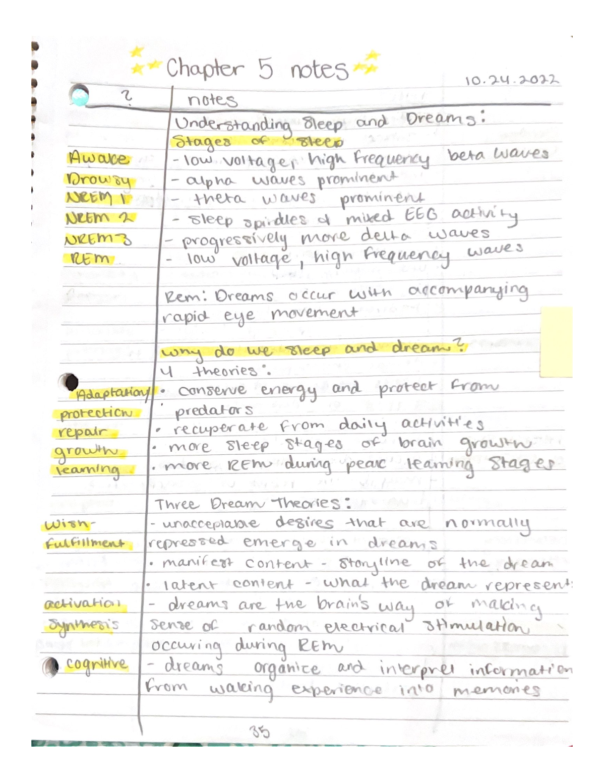 Chapter 5 Notes - PSYC 154 - Studocu