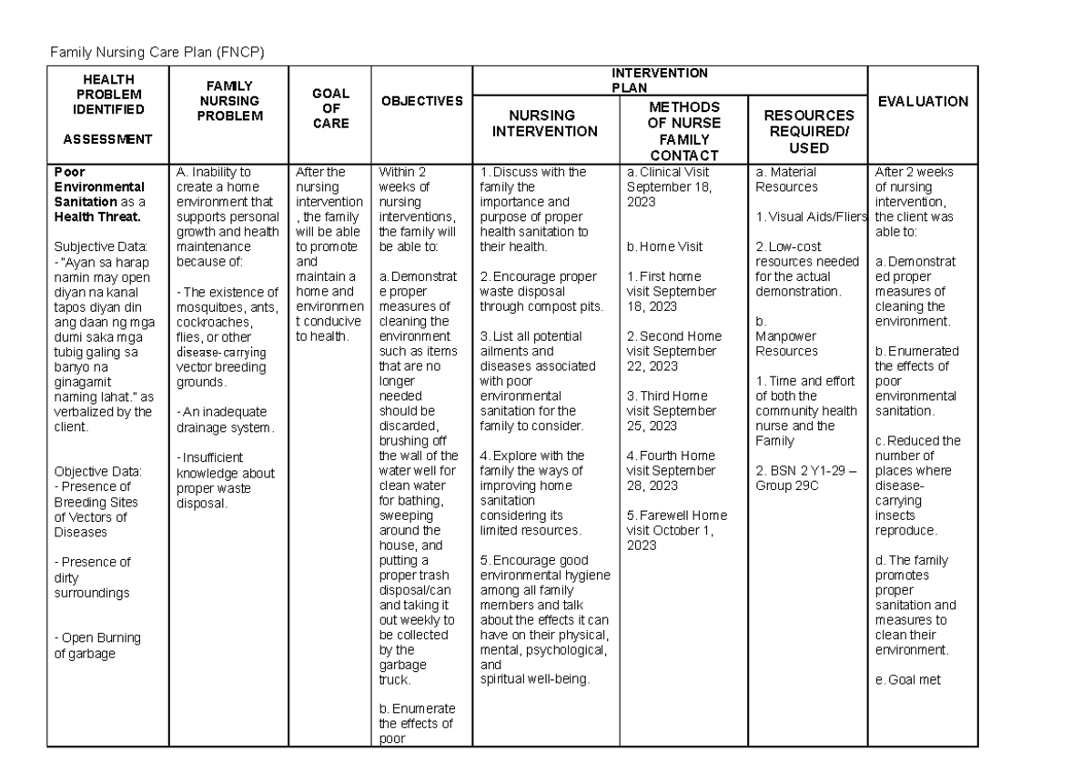 Family nursing care plan - Family Nursing Care Plan (FNCP) HEALTH ...