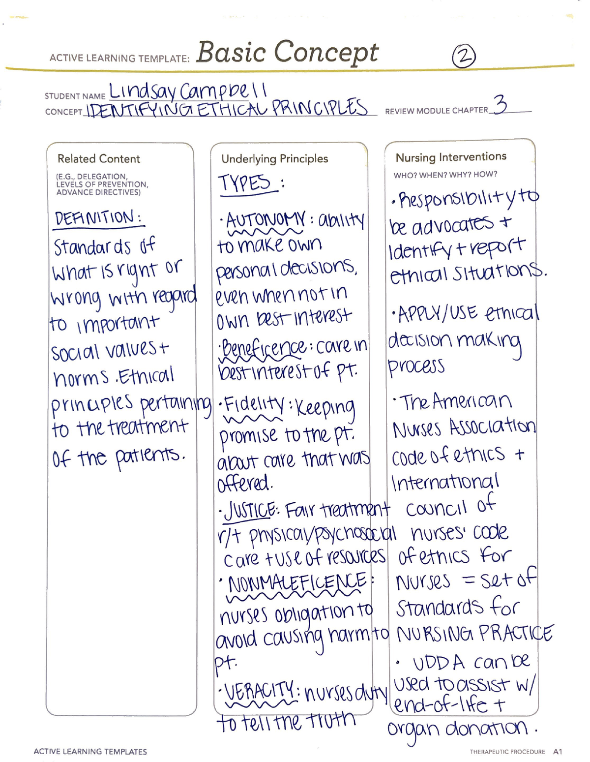 Identifying Ethical Principles Basic Concept ATI ALT Nur 601 Studocu