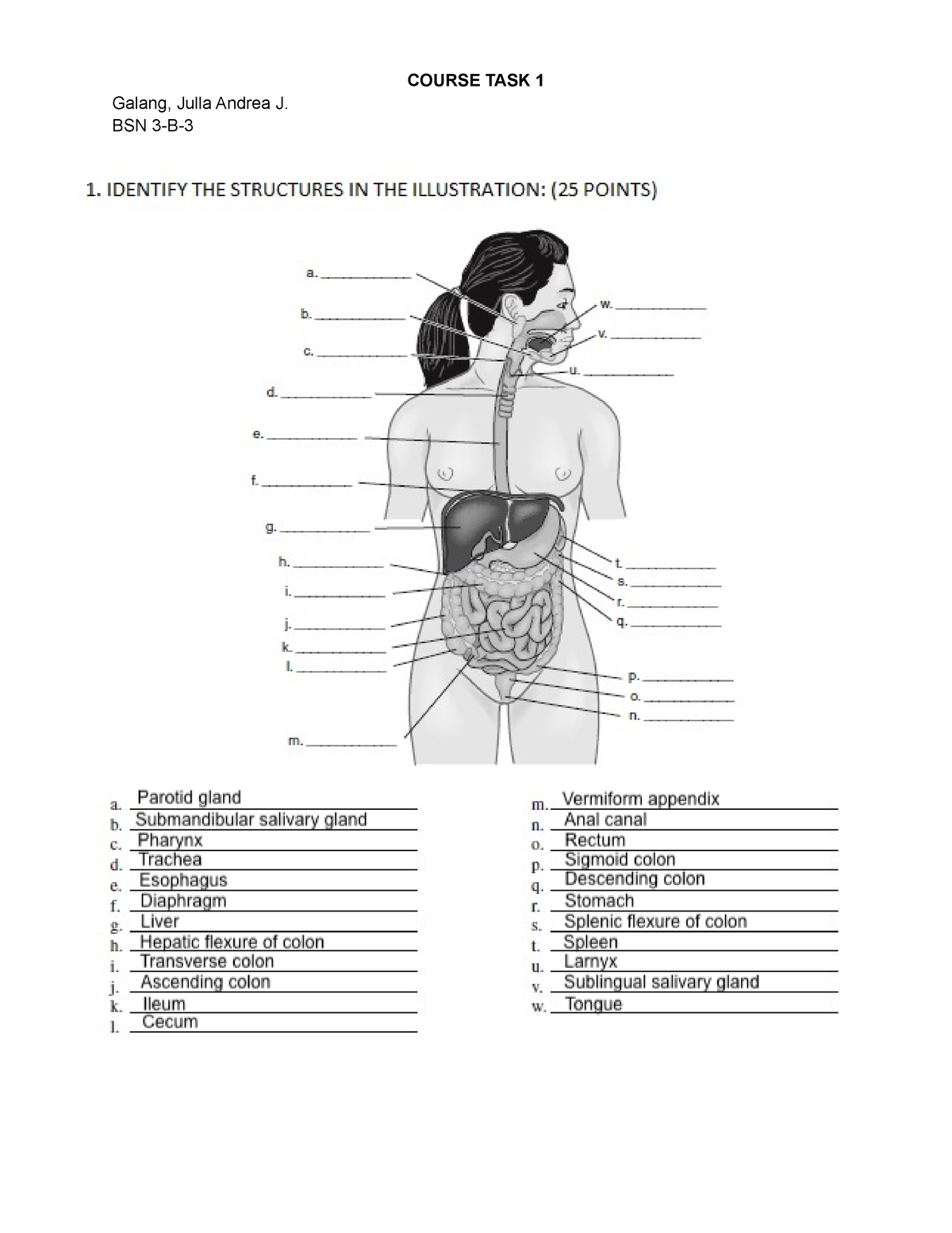 course-task-1-2-course-task-1-galang-julla-andrea-j-bsn-3-b-a-55
