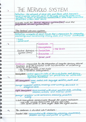 the importance of ions a level biology essay