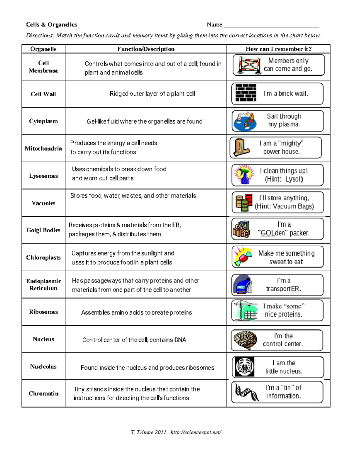 kami-export-cameron-taing-cell-organelle-review-t-trimpe-2011