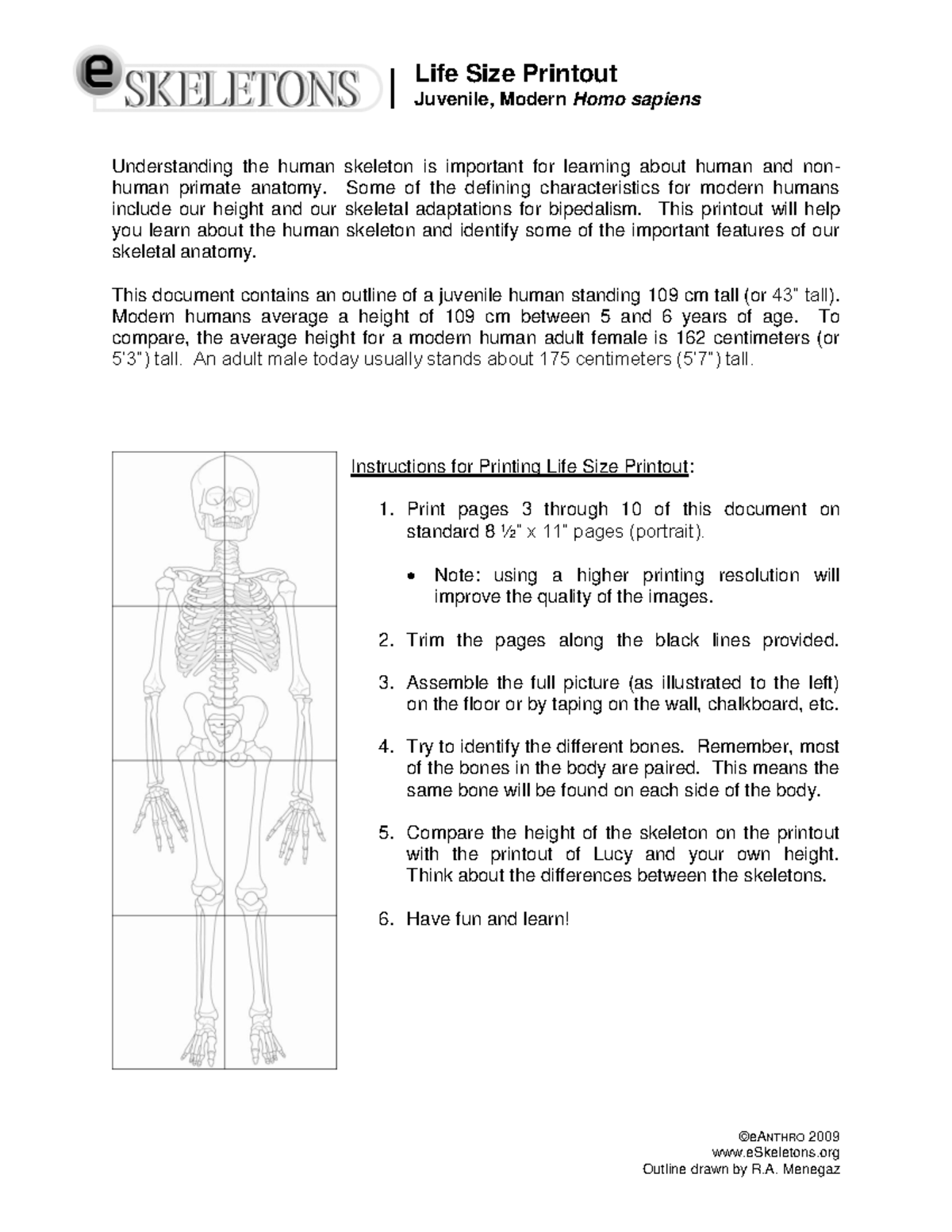 000646791 - this is essay - | Life Size Printout Juvenile, Modern Homo ...
