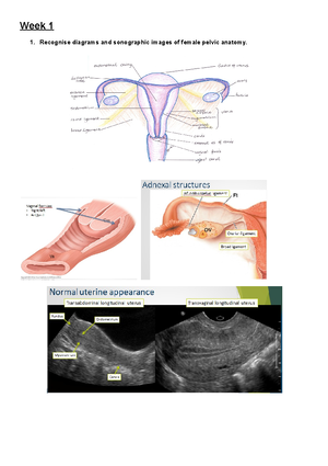 Obs & Gyn Review Q & A weeks 1 to 12 - 1 Recognise diagrams and ...