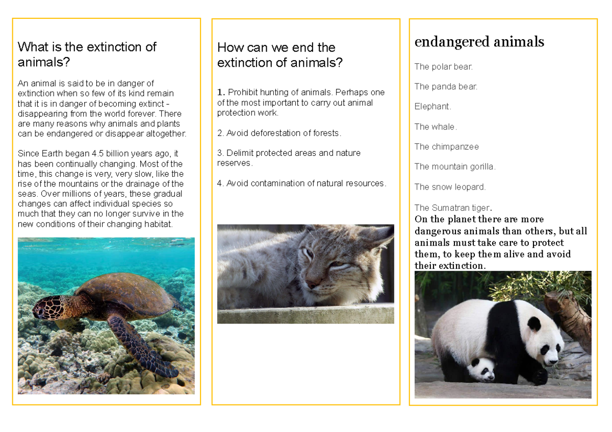 Folleto - informacion de animales en ingles - endangered animals The