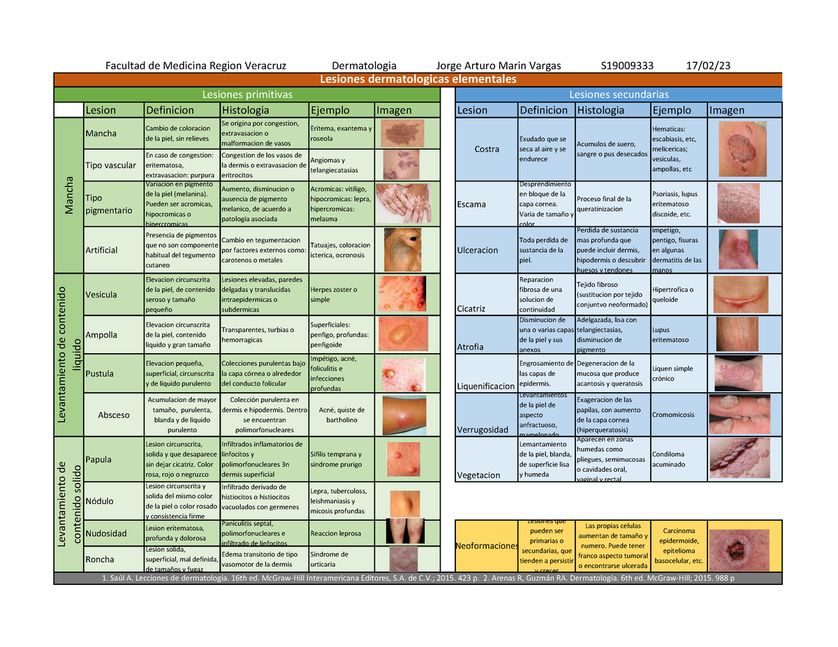 Lesiones Elementales Dermatologicas Lesion Definicion Histologia Ejemplo Imagen Lesion
