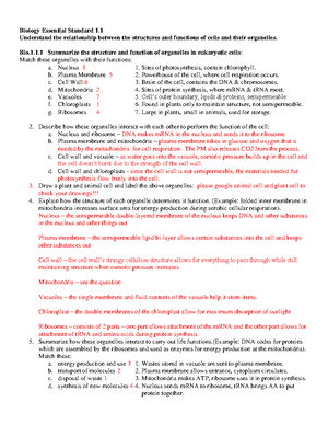 BIO EOC Review Packet 1 - Biology Review Packet Benchmarks Learning ...