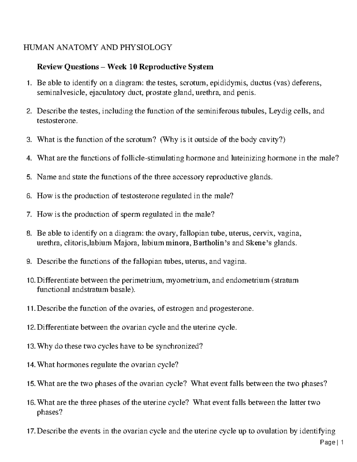 BIOL 222 review questions wk 10 Reproductive System - HUMAN ANATOMY AND ...