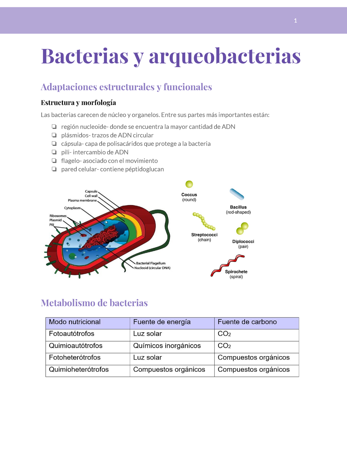 Bacterias Y Arqueobacterias Bacterias Y Arqueobacterias Adaptaciones ...