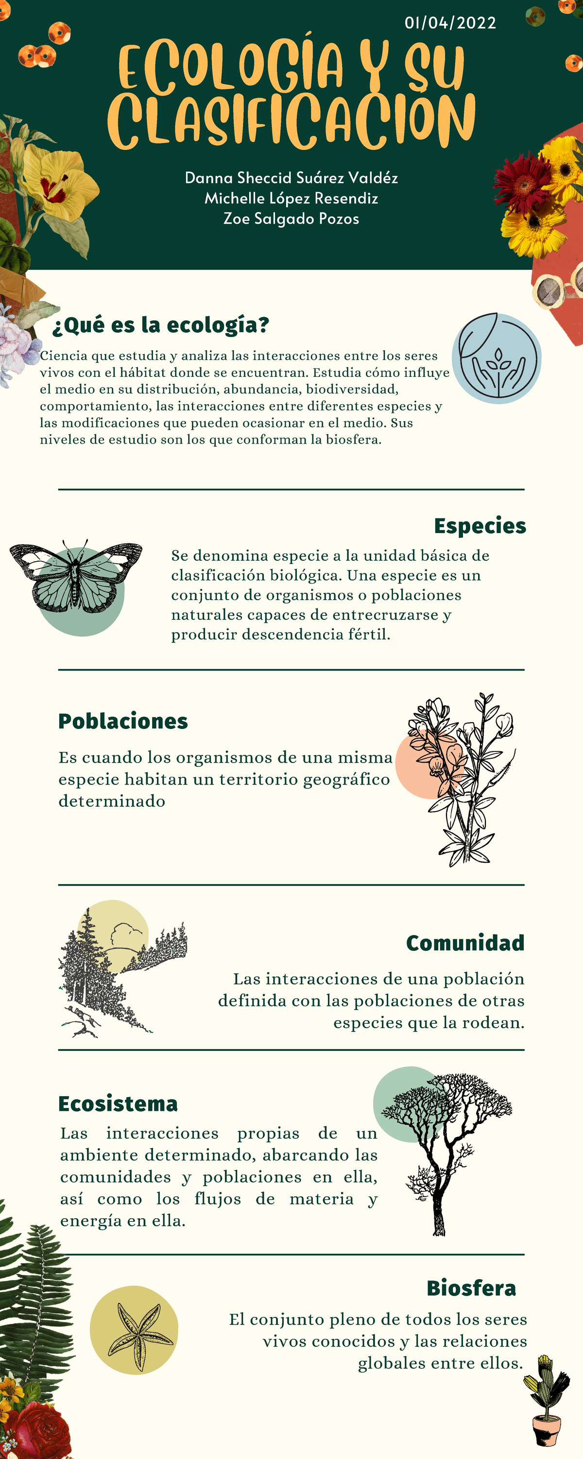 Ecología Y Su Clasificación - Guía Biología - UVM - Studocu