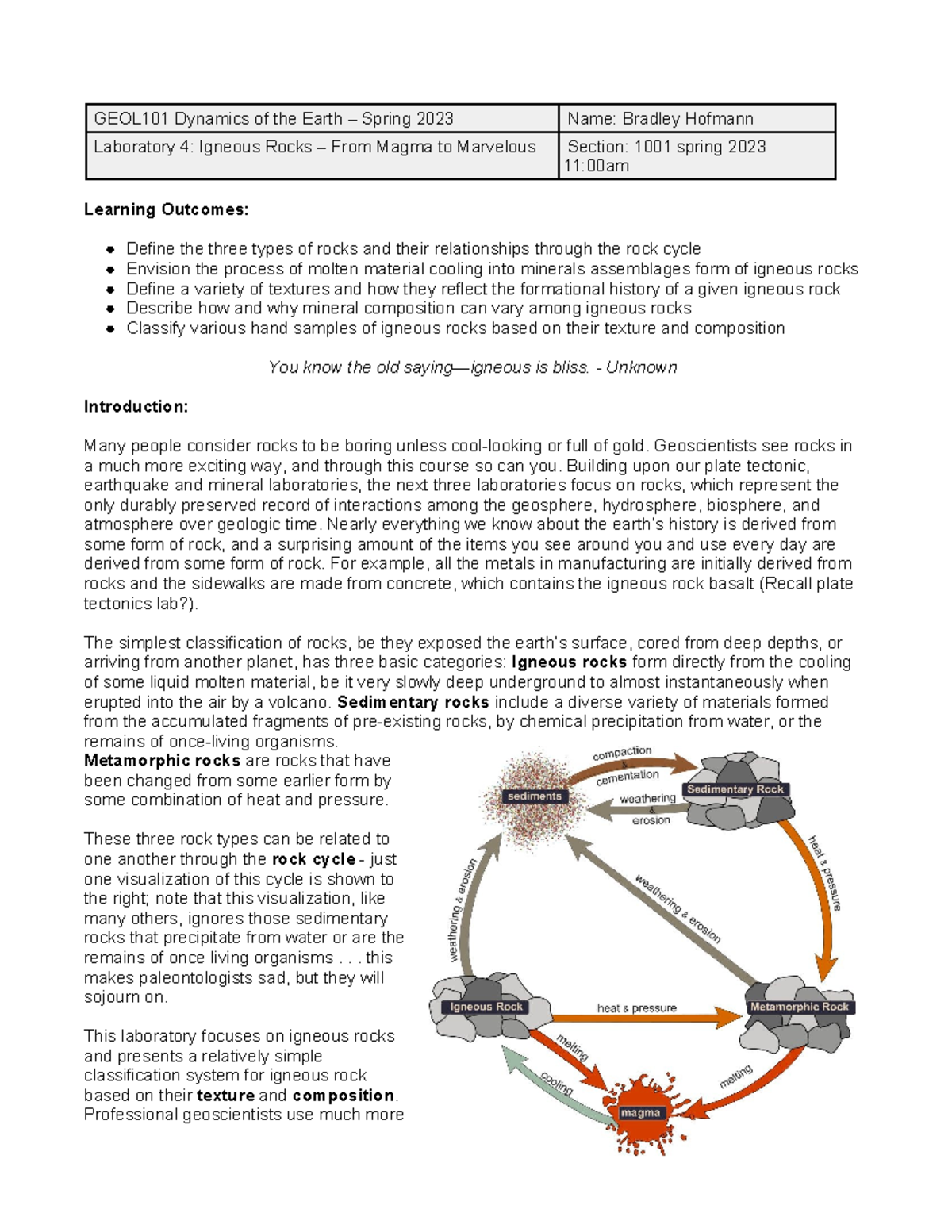 Lab4Igneous Handout S 23- Bradley Hofmann - GEOL101 Dynamics of the ...